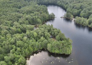 Screenshot 2025-05-28 at 3.14.42 AM